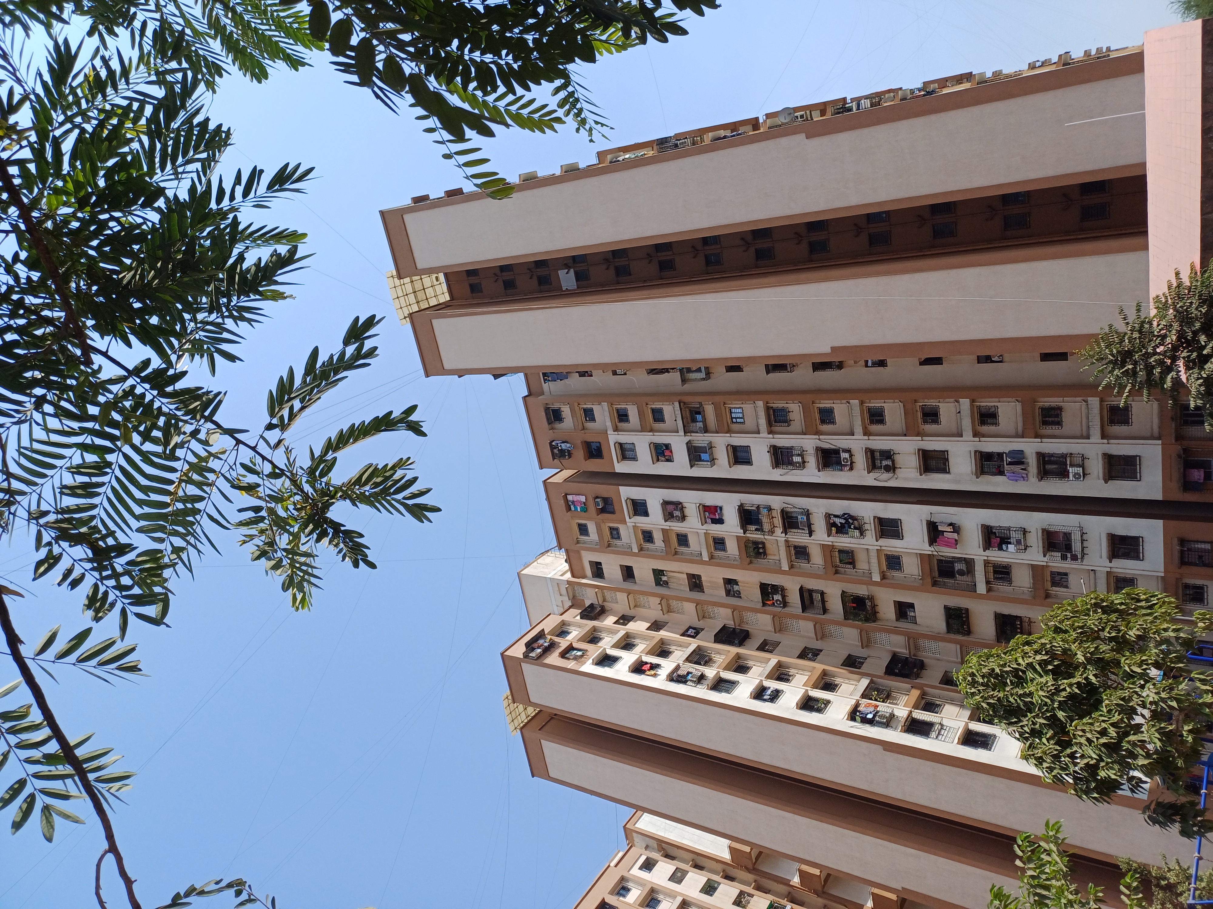 1 BHK Apartment For Rent in Megh Malhar Co-op Housing Society