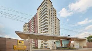  Pg For Rent in Kondapur