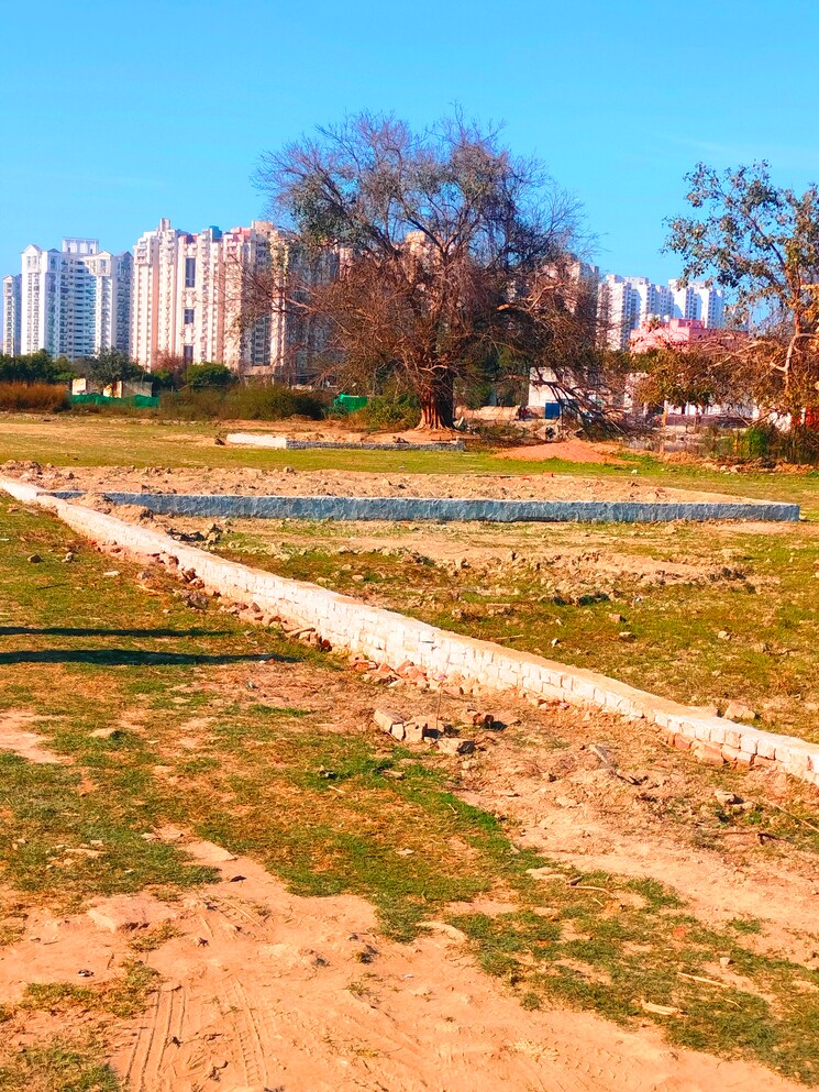 undefined, sector 167  900 Sq.Ft. Plot In Sector 167 Noida 8629368