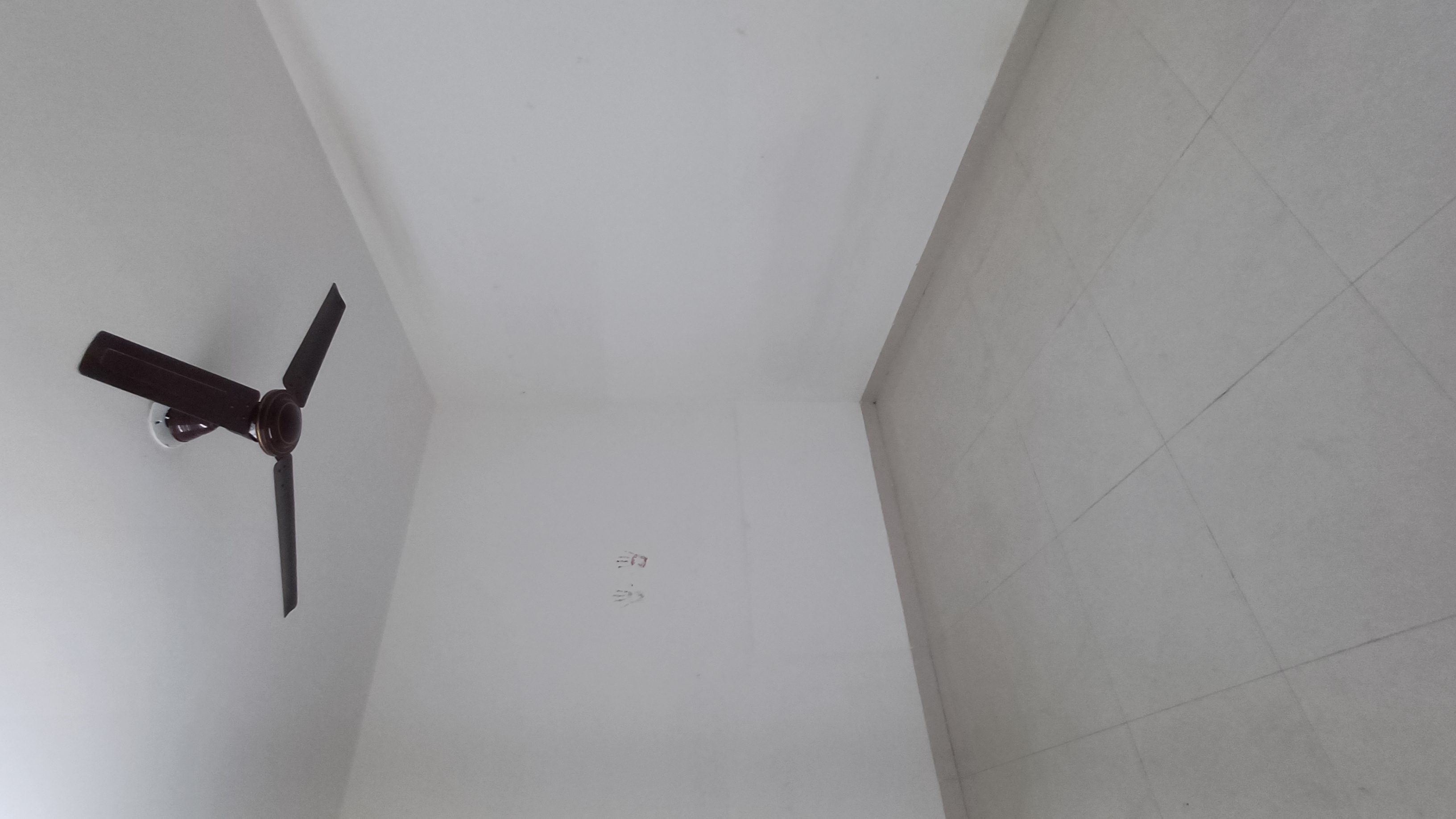 1 BHK + Extra Room Apartment For Rent in Ashar Metro Towers