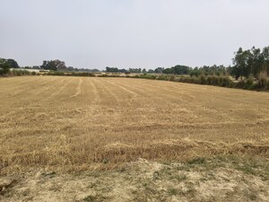  Land For Sale in Sandila