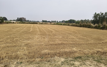 Land For Sale in Sandila