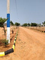 121 Sq.Yd. Plot in Kolanpaka