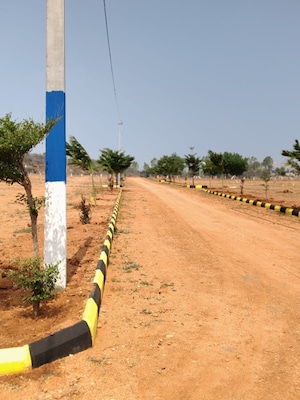  Plot For Sale in Kolanpaka