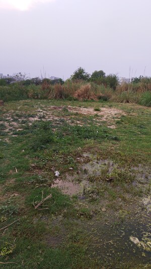 Plot Area in  Plot at Raj Nagar Extension – for Sale