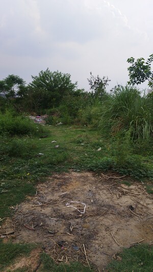 Plot Area in  Plot at Raj Nagar Extension – for Sale