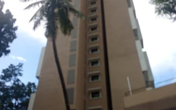 1 BHK Apartment For Rent in Dahisar West