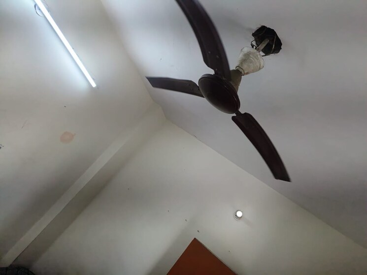 undefined, rwa-apartments-sector-27 1 RK 450 Sq.Ft. Independent House In Sector 27 Noida 8629773