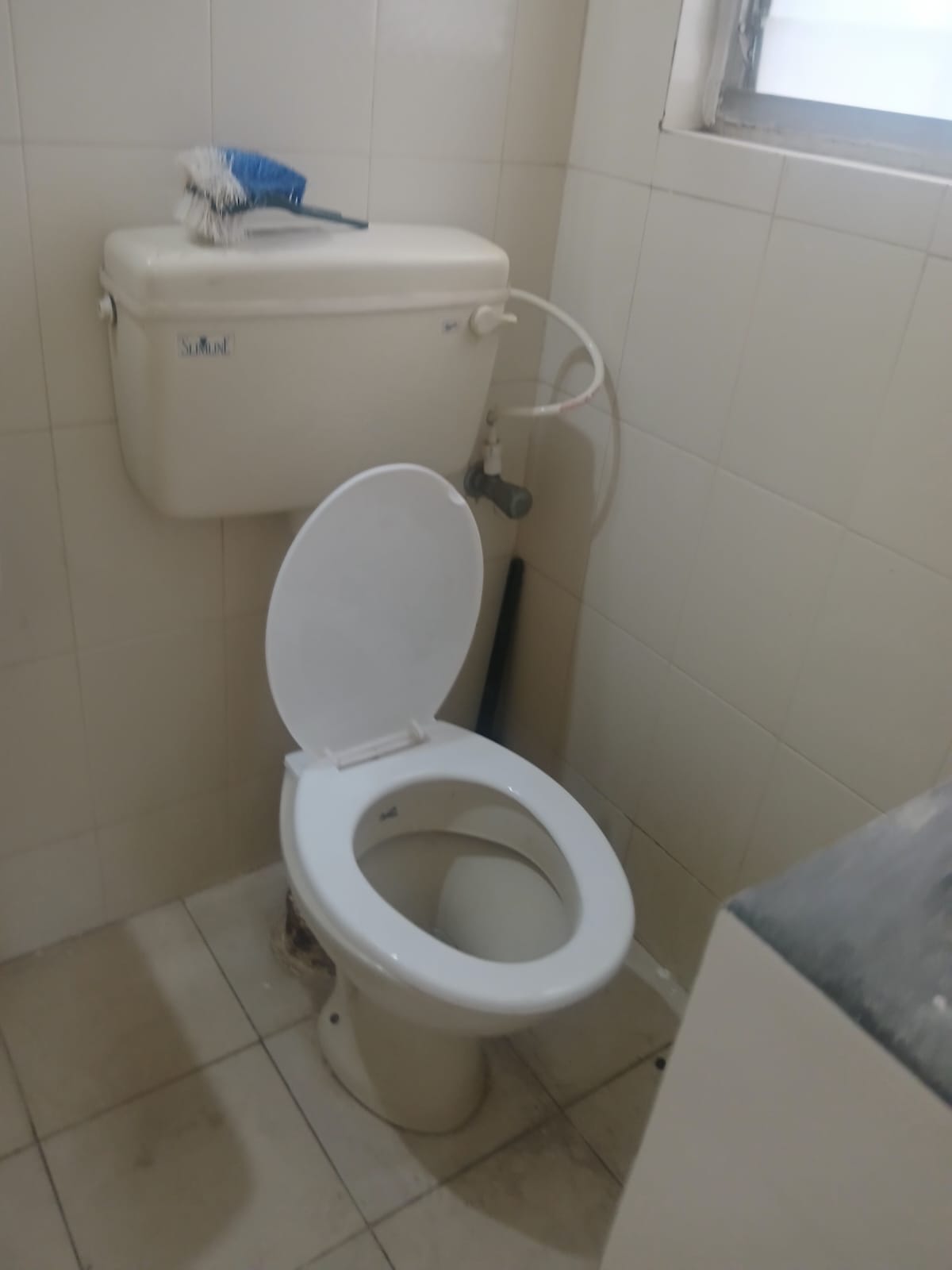 2 BHK + Pooja Room Apartment For Rent in Niyoshi Park