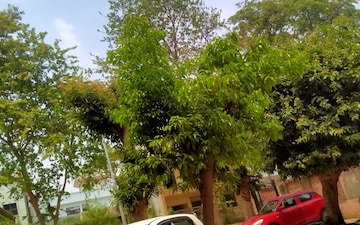 Plot For Sale in Eta I Greater Noida