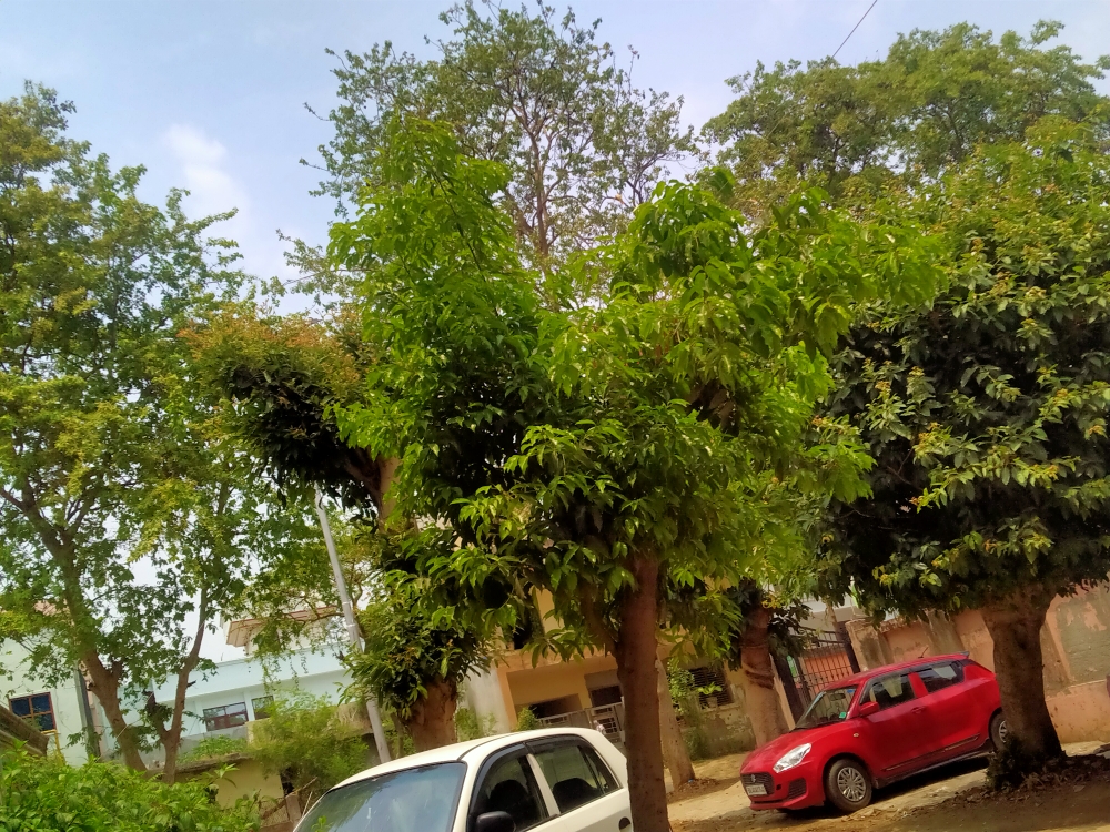 Plot For Sale in ETA I Greater Noida