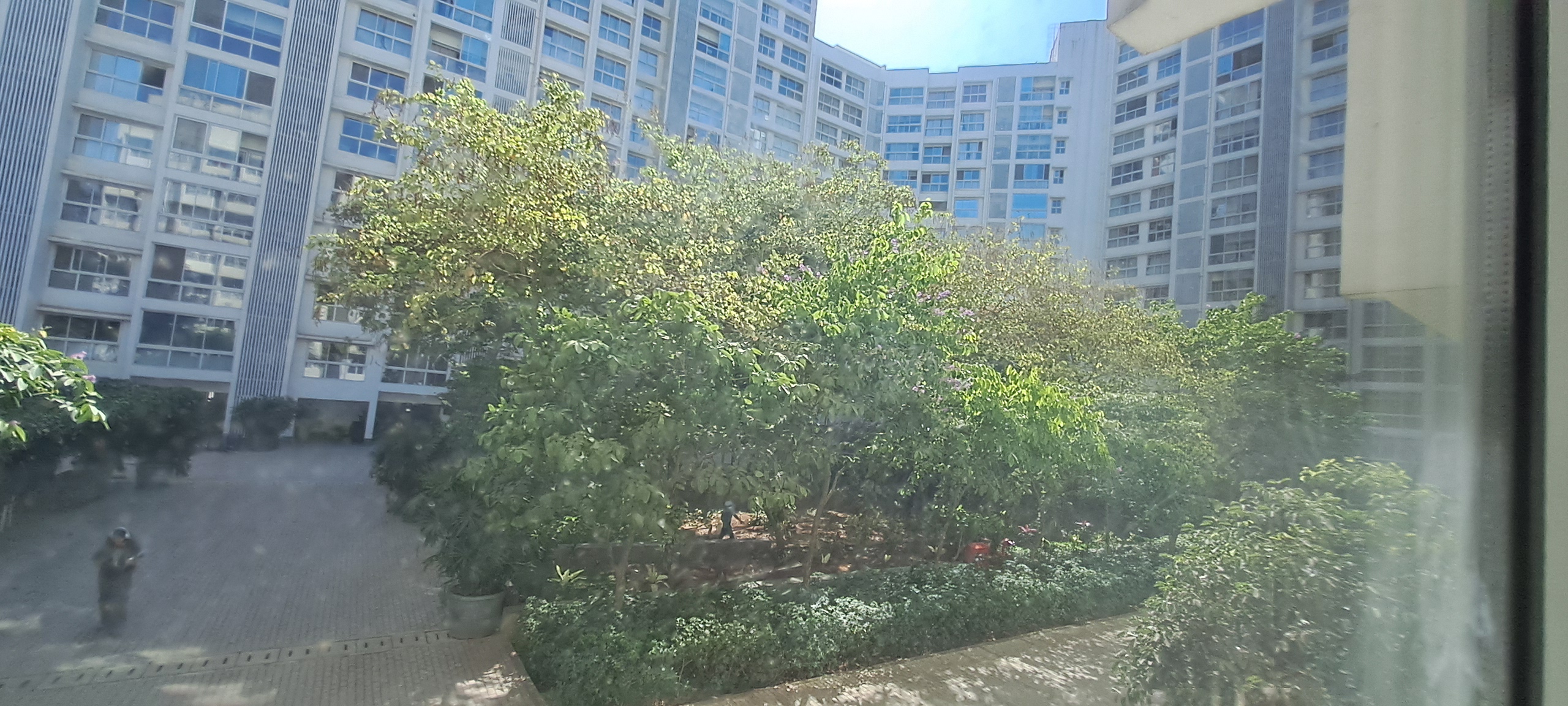 1 BHK + Pooja Room Apartment For Rent in Godrej The Trees