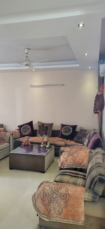 1 BHK Apartment For Rent in DLF The Princeton Estate, Dlf Phase V
