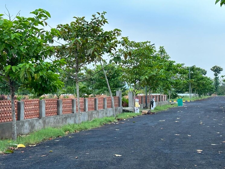 Exterior View, bhogapuram  300 Sq.Yd. Plot In Bhogapuram Vizag 8630532