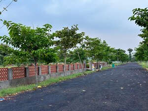 Plot Area in  Plot at Bhogapuram – for Sale