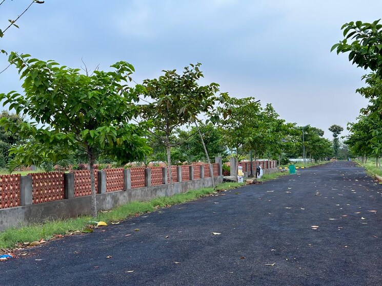 undefined, bhogapuram  300 Sq.Yd. Plot In Bhogapuram Vizag 8630532