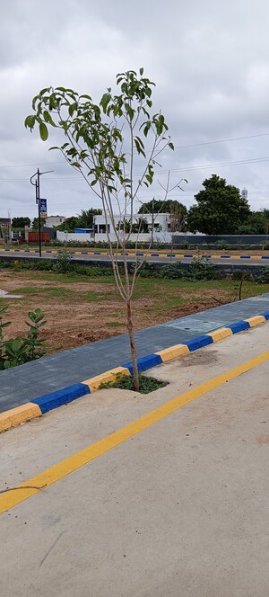  Plot – Garden View at Trichy Madurai Road - for Sale