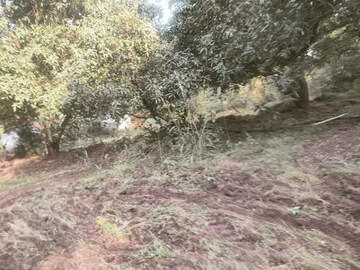 Plot Area in  Land at Khopoli – for Sale
