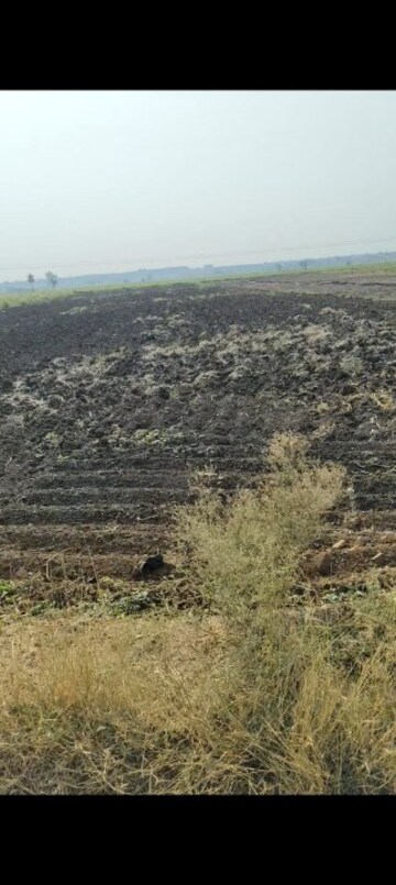 Plot Area in  Land at Shabad – for Sale