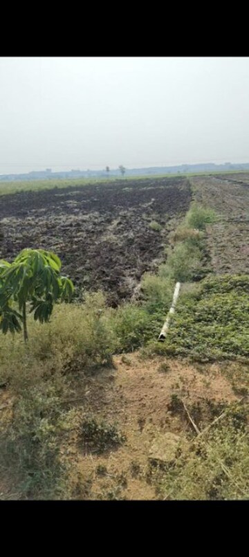 Plot Area in  Land at Shabad – for Sale