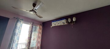 2 BHK Apartment For Rent in Pivotal Riddhi Siddhi, Sector 77