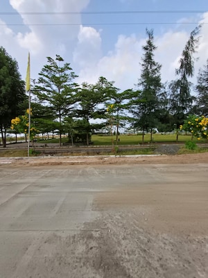 Plot Area in  Plot at Ringnodiya – for Sale