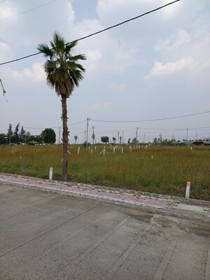 Plot Area in  Plot at Ringnodiya – for Sale