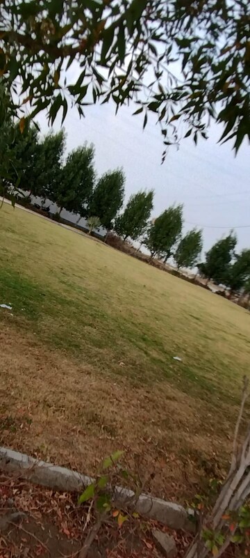 Plot Area in  Plot at Ringnodiya – for Sale