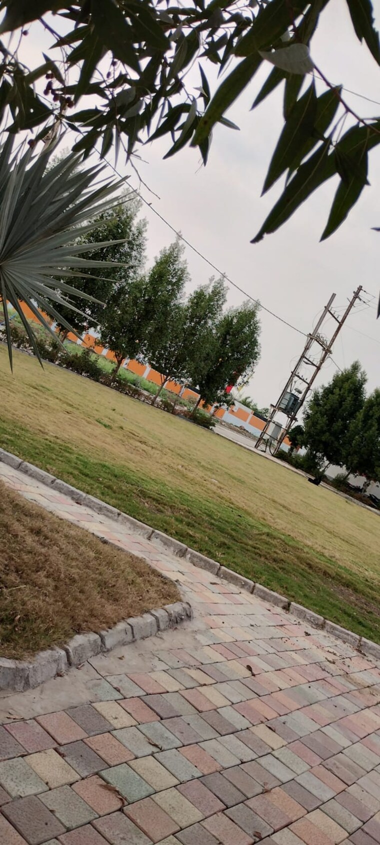 Garden, ringnodiya  600 Sq.Ft. Plot In Ringnodiya Indore 8631145