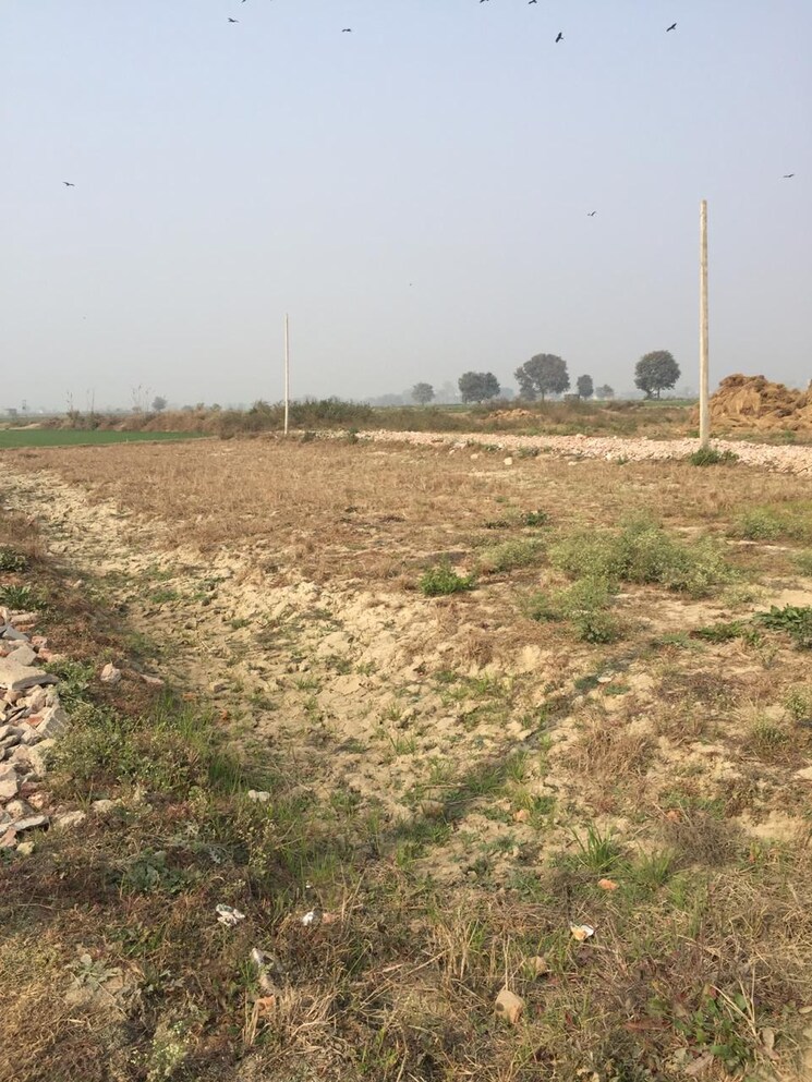 undefined, sector 142  630 Sq.Ft. Plot In Sector 142 Noida 8631222