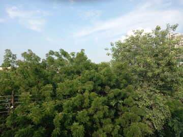 2 BHK Villa – Garden View at RWA Apartments Sector 52, Sector 52 - for Rent