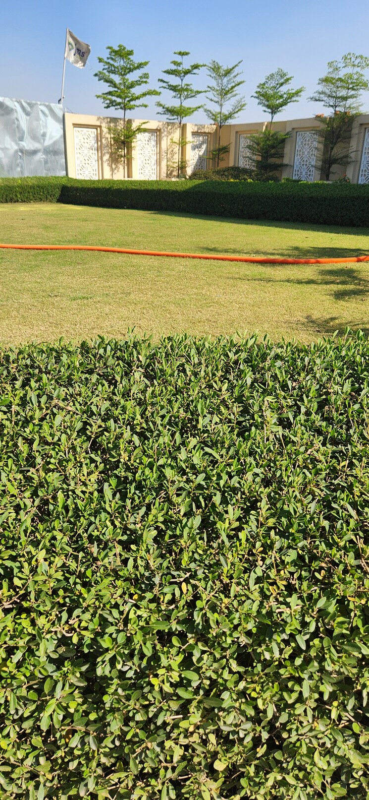 Garden, jms-mega-city  146 Sq.Yd. Plot In Sohna Sector 5 Gurgaon 8631300