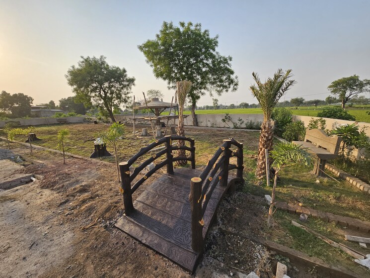 Exterior View, koni  1000 Sq.Ft. Plot In Koni Bilaspur 8631520