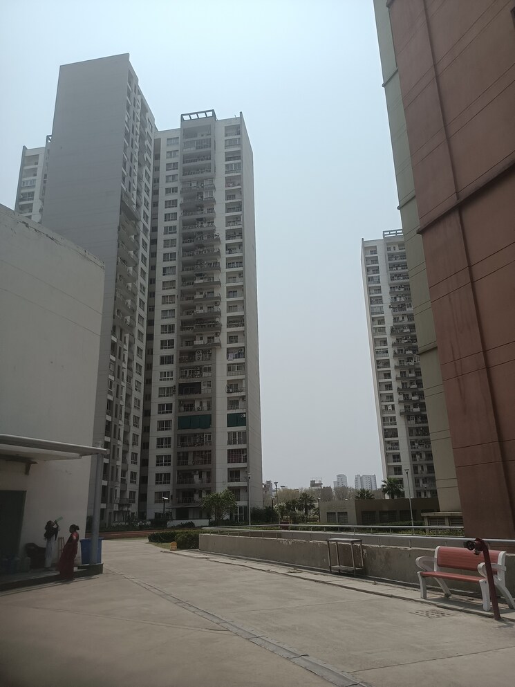 Exterior View, the-3c-lotus-panache 4 Bedroom 2794 Sq.Ft. Apartment In Sector 110 Noida 8631681