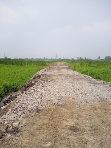 Plot Area in  Plot at Shyamnagar – for Sale