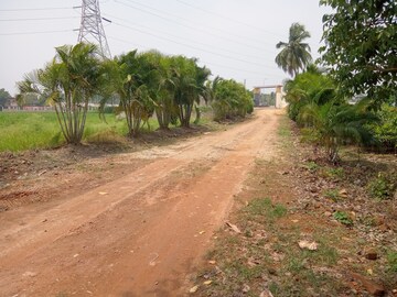 Plot Area in  Plot at Shyamnagar – for Sale