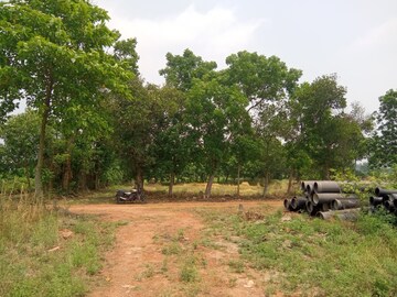 Plot Area in  Plot at Shyamnagar – for Sale