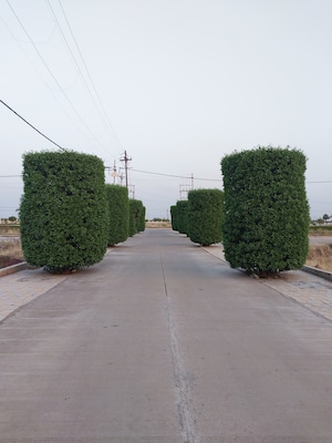  Plot – Exterior View View at Super Corridor - for Sale