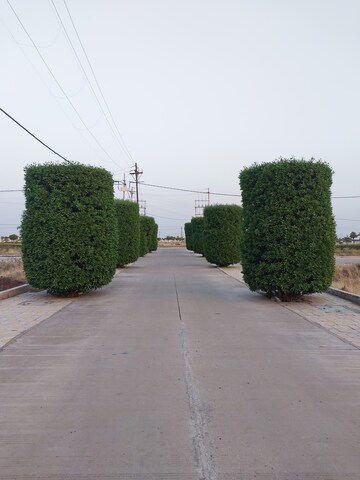  Plot – Exterior View View at Super Corridor - for Sale