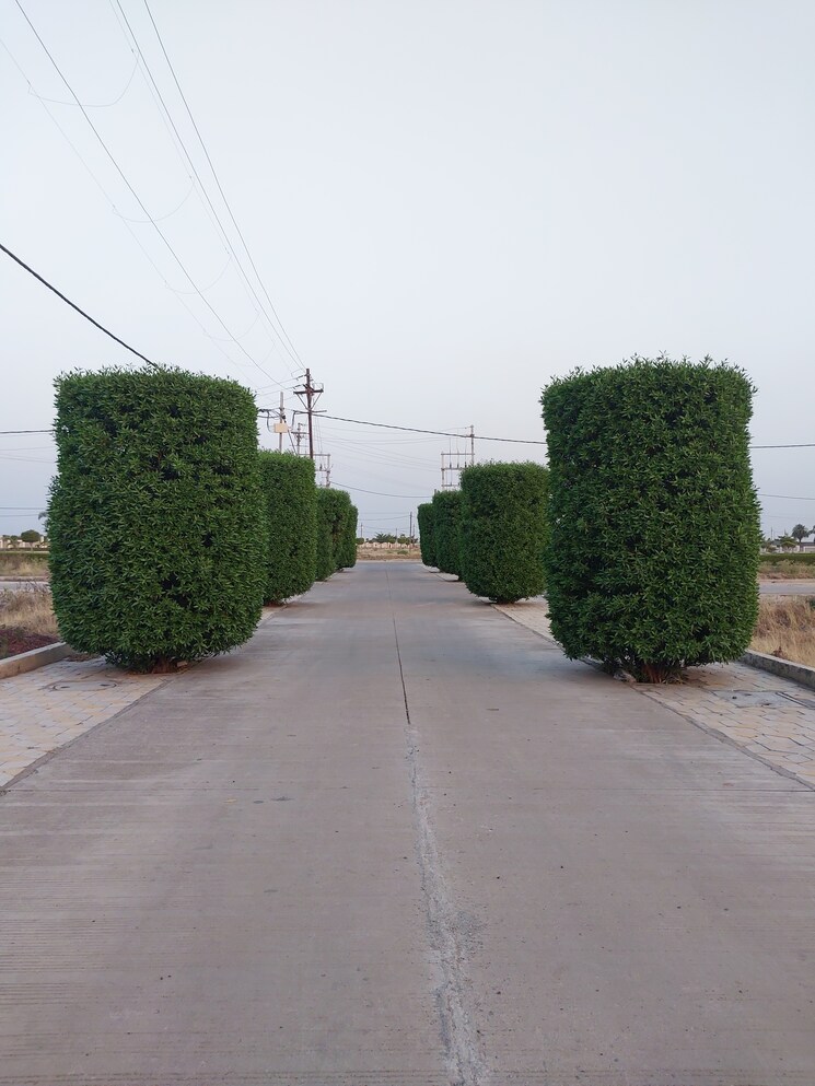 Exterior View, super corridor  1000 Sq.Ft. Plot In Super Corridor Indore 8631802