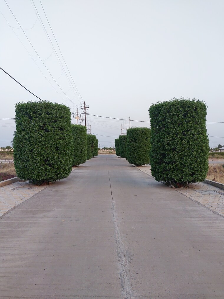 Exterior View, super corridor  1000 Sq.Ft. Plot In Super Corridor Indore 8631802