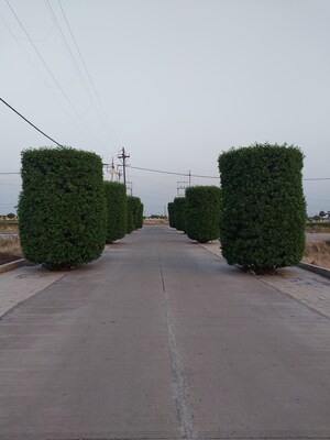  Plot – Exterior View View at Super Corridor - for Sale