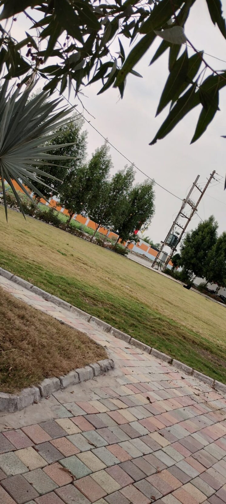 Garden, ringnodiya  600 Sq.Ft. Plot In Ringnodiya Indore 8631915