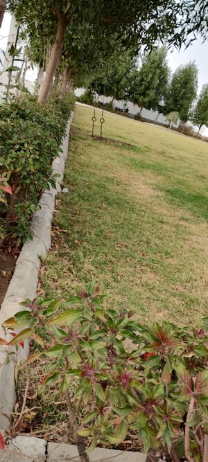 1 BHK Independent House – Garden View at Ringnodiya - for Sale