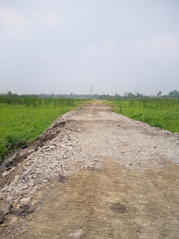 Plot Area in  Plot at Shyamnagar – for Sale