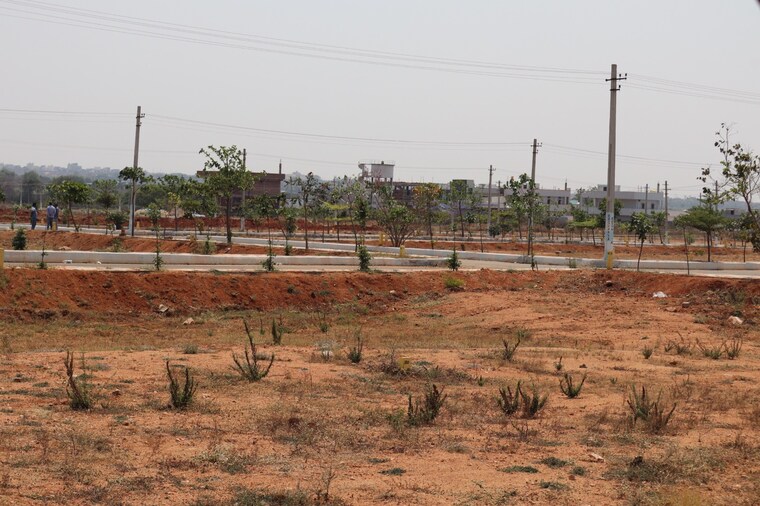undefined, shadnagar  220 Sq.Yd. Plot In Shadnagar Hyderabad 8631993