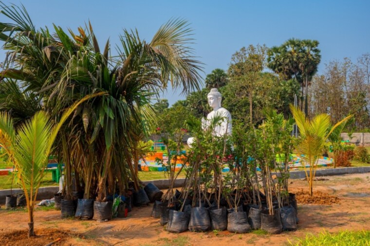 Garden, bhogapuram  150 Sq.Yd. Plot In Bhogapuram Vizag 8632168