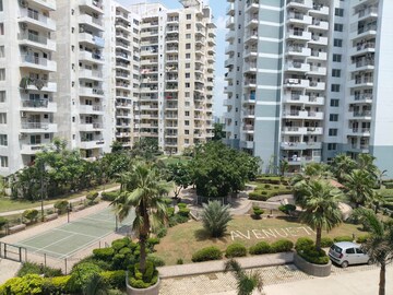 3 BHK Apartment For Sale in CHD Avenue 71, Sector 71