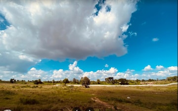 Plot For Sale in Orchid Nirvana, Devanahalli