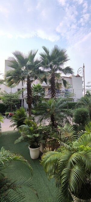 4 BHK Builder Floor For Sale in BPTP Amstoria, Sector 102